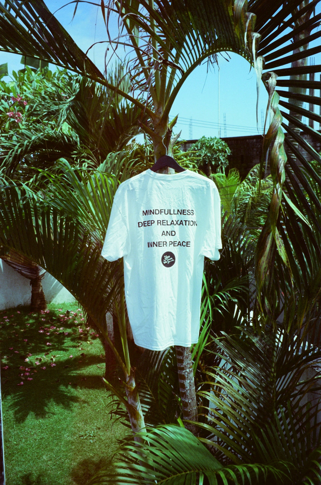 a t - shirt hanging on a tree in a garden
